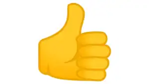 Successful submission confirmation with a thumbs-up icon.